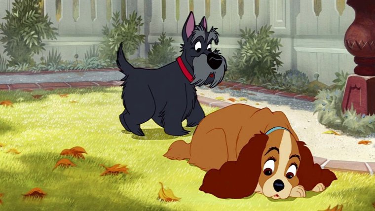 Пес из мультика леди и Бродяга