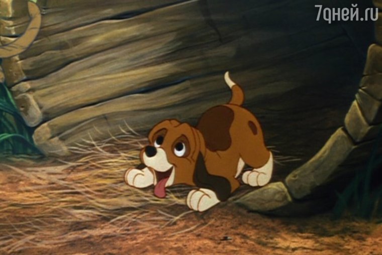 Пес из мультфильма
