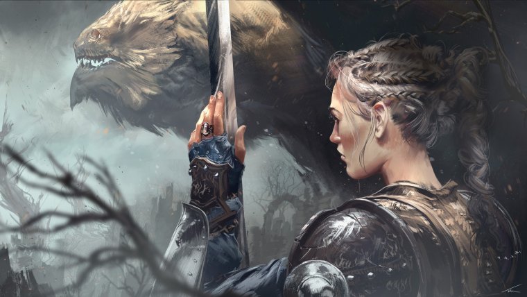 Девушка рыцарь