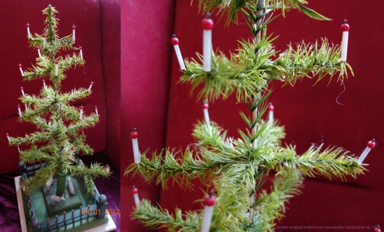 Елка настоящая