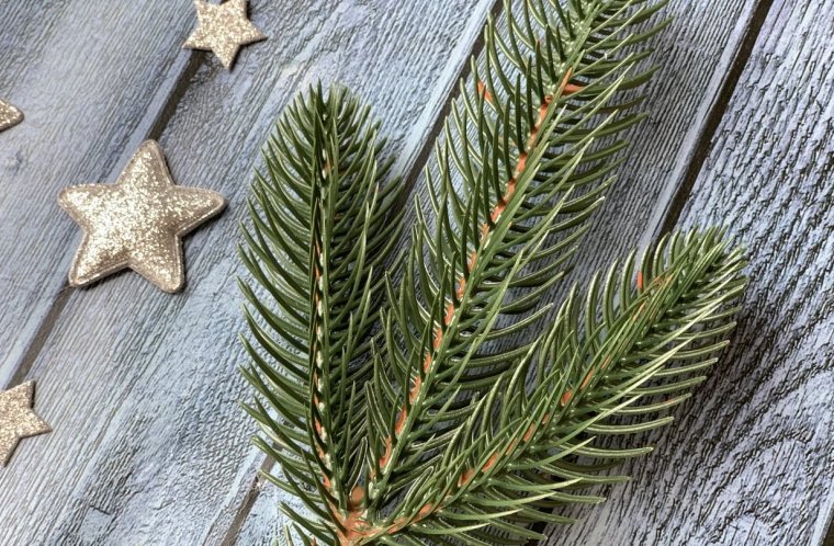 Атак ветки лапник хвоя