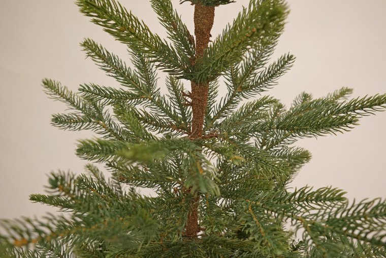 Beatrees Astra елка