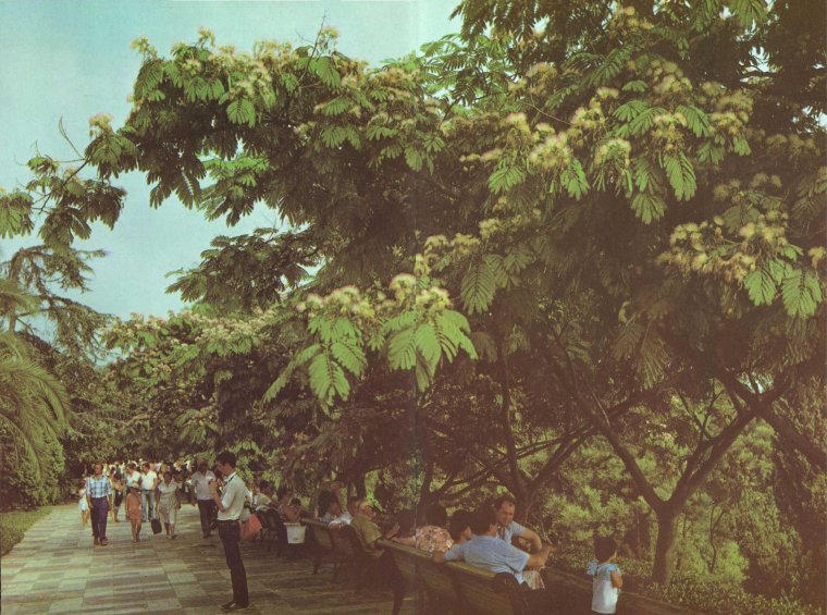 Сочи СССР 1980