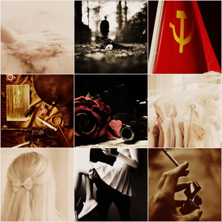 Рейх кантрихуманс Эстетика