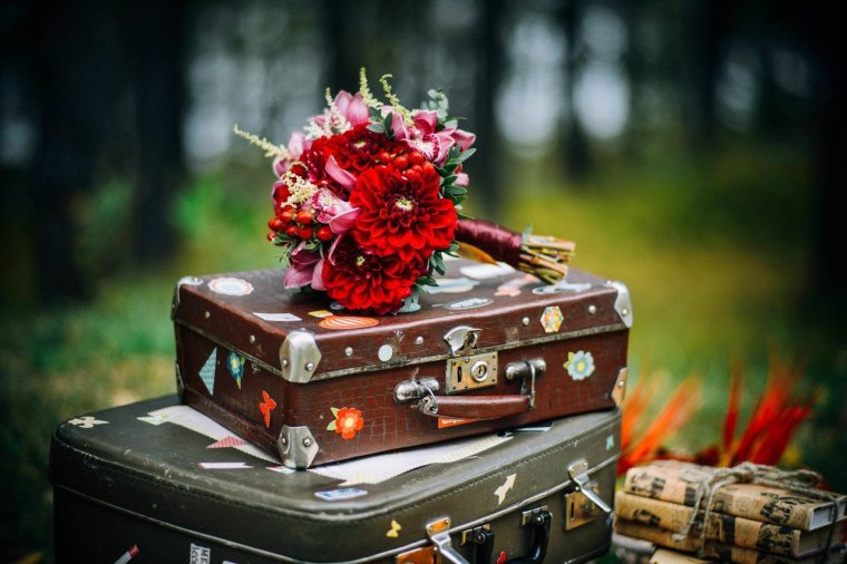 Пакует чемоданы лето