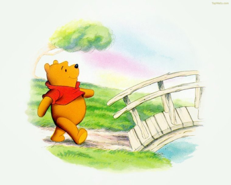 Винни пух на мосту