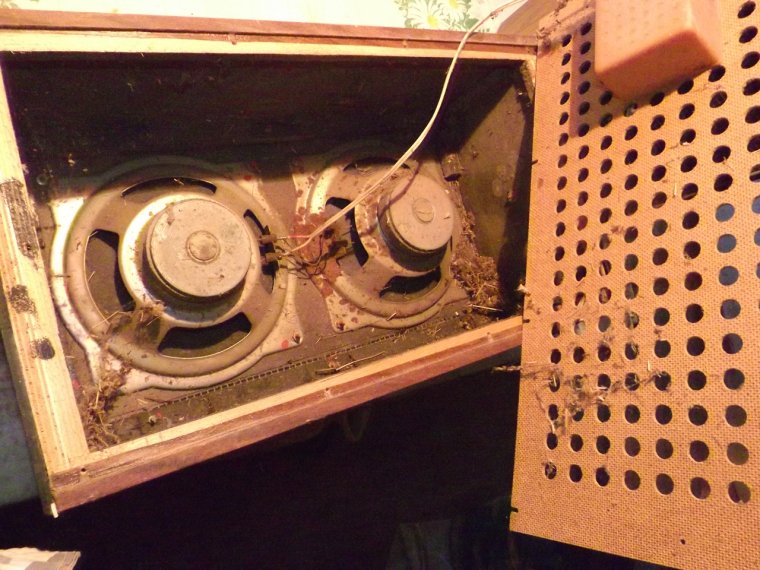 Колонки 3ас 503