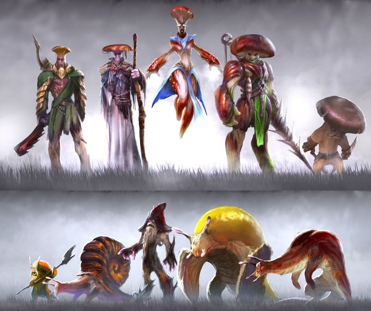 Раса грибов в фэнтези