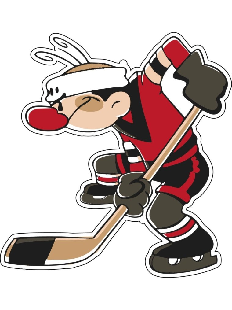 Хоккеист шайбу шайбу