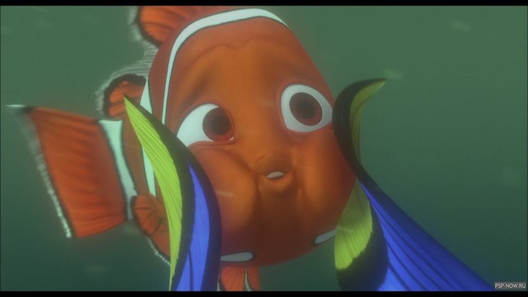 Рыбка гуппи дори