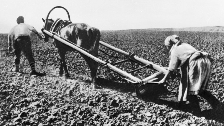 Вспашка 19 век