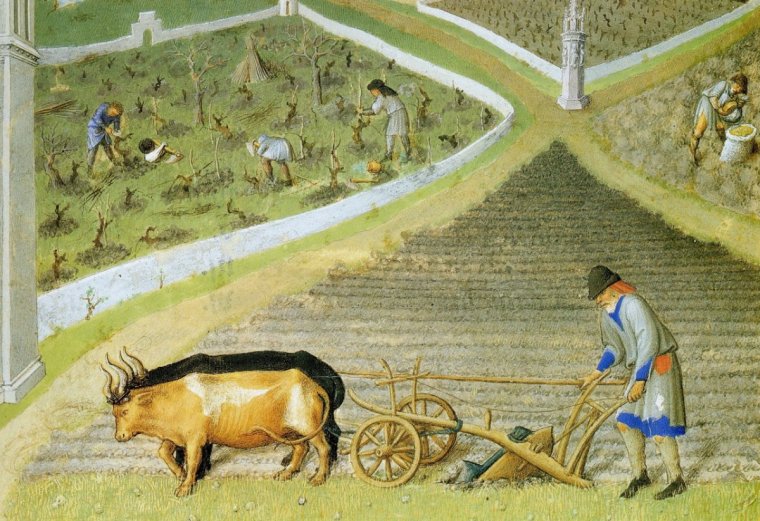 Сельское хозяйство в древнем Риме