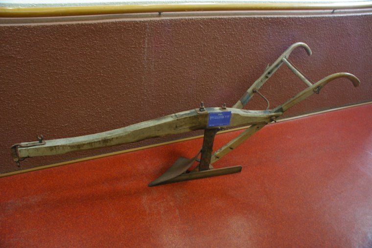 Деревянный луг