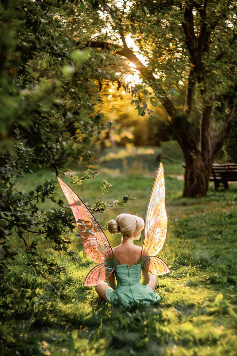 Эстетика феи природы