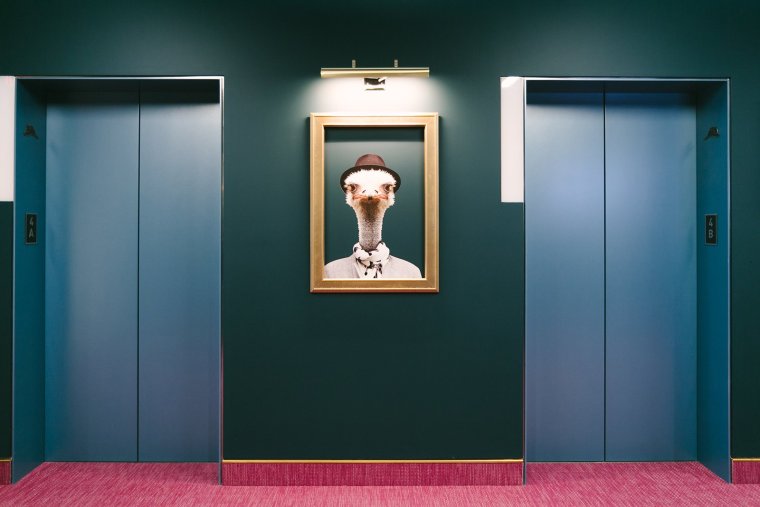 Цвет стен лифтовых