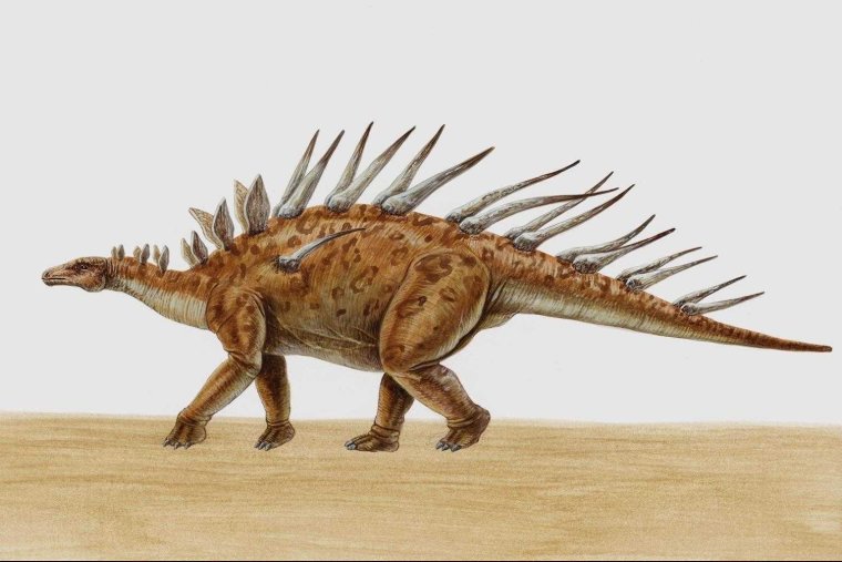 Кентрозавр, Диметродон