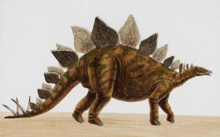 Стегозавр и Анкилозавр