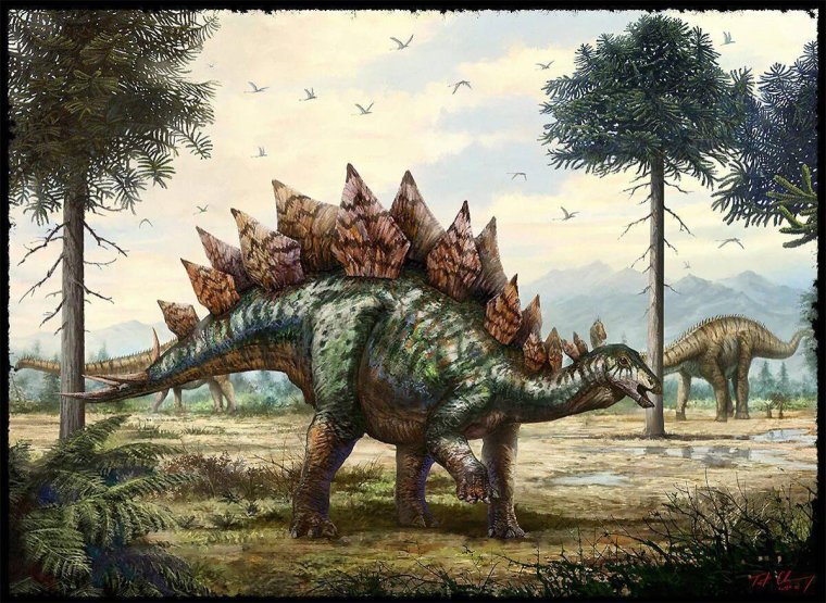 Травоядные динозавры Стегозавр