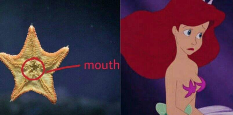 Дисней Ариель звезды морские