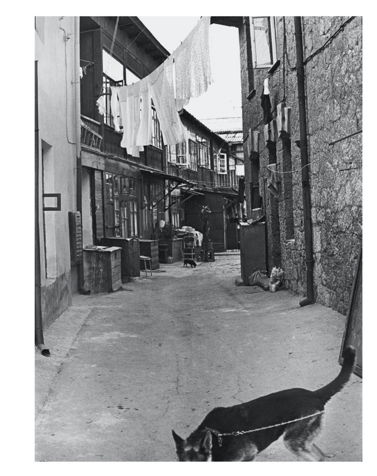 Михаил Дашевский родное ретро