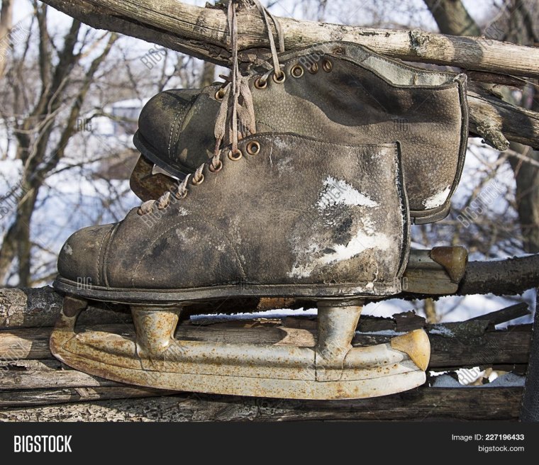 Норвежские коньки