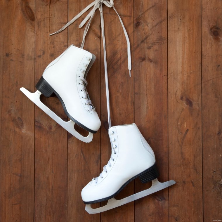 Коньки Бронкс