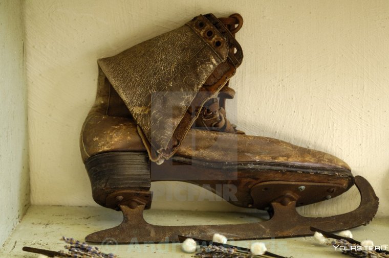 Коньки Петра 1