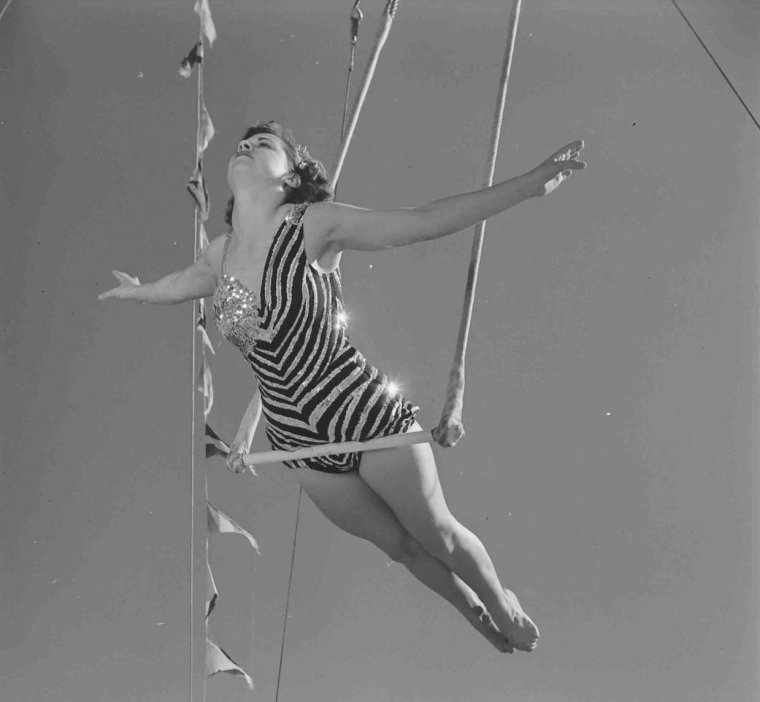 Цирковые качели