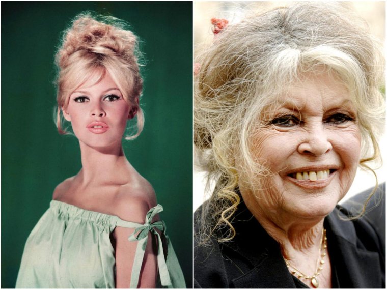 Бриджит Бардо в 50 лет