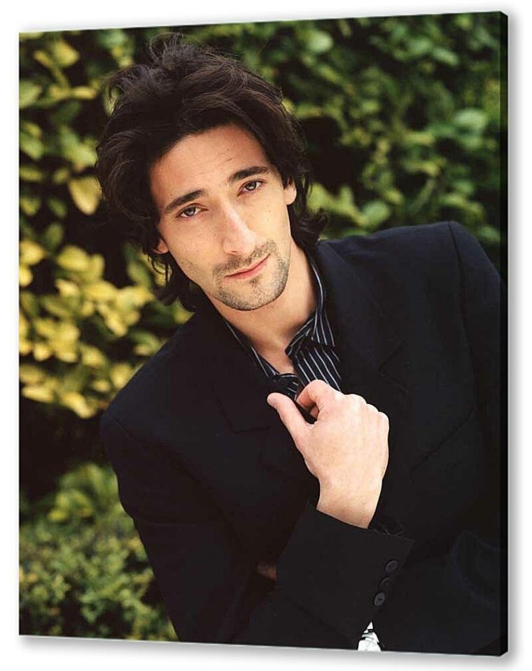 Броуди Эдриен