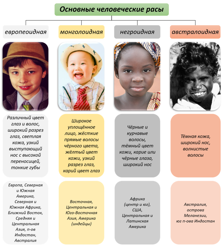 Европеоид монголоид негроид