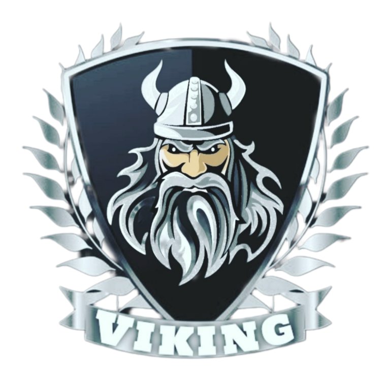 ООО Викинг Москва