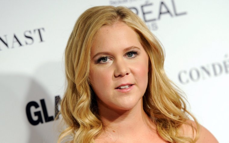 Толстая Эми актриса