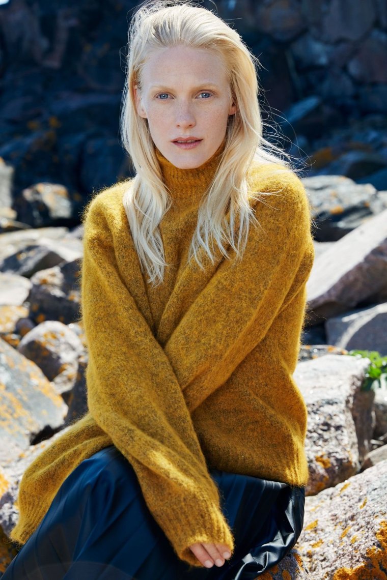 Скандинавский нордид