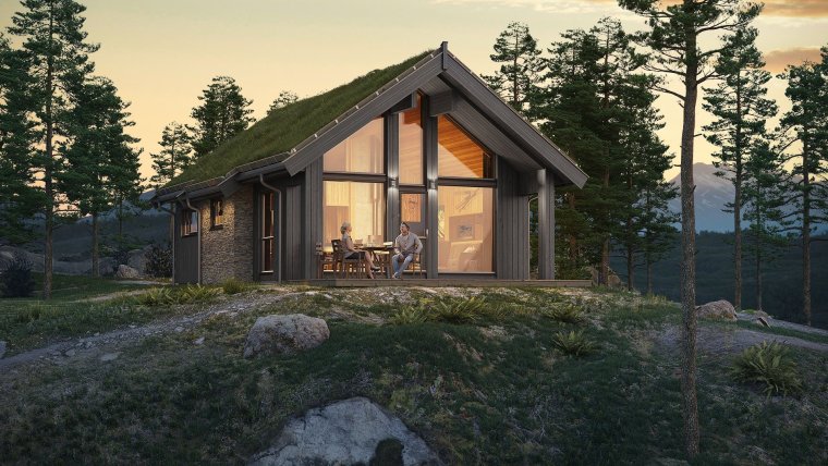 Скандинавский дом