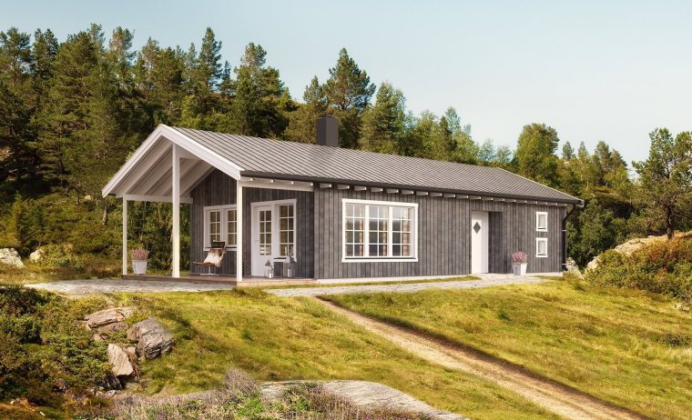 Одноэтажный дом финский Скандинавский шведский