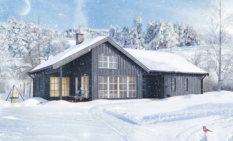 Зимний дом