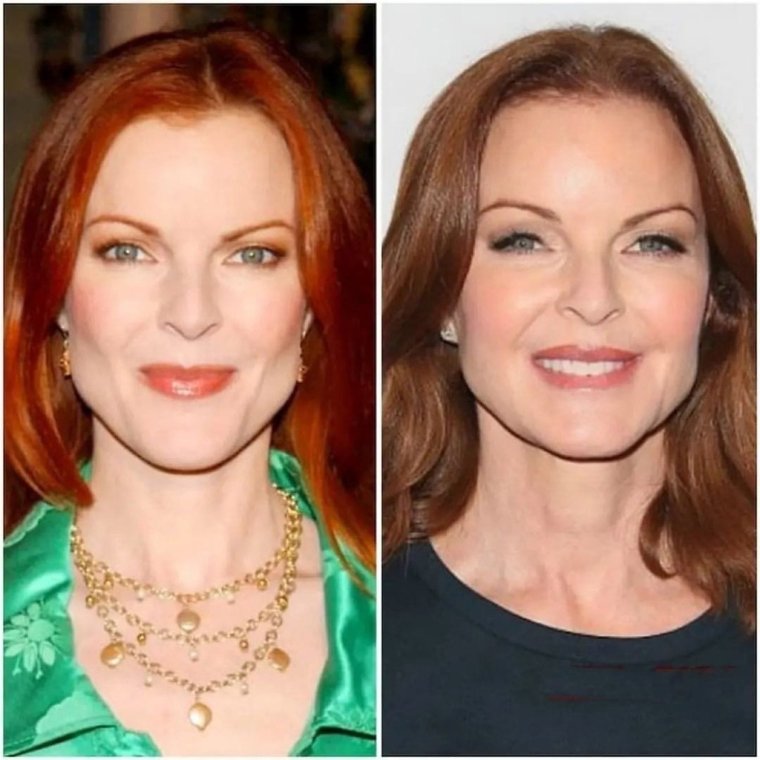 Бри Ван де Камп цвет волос