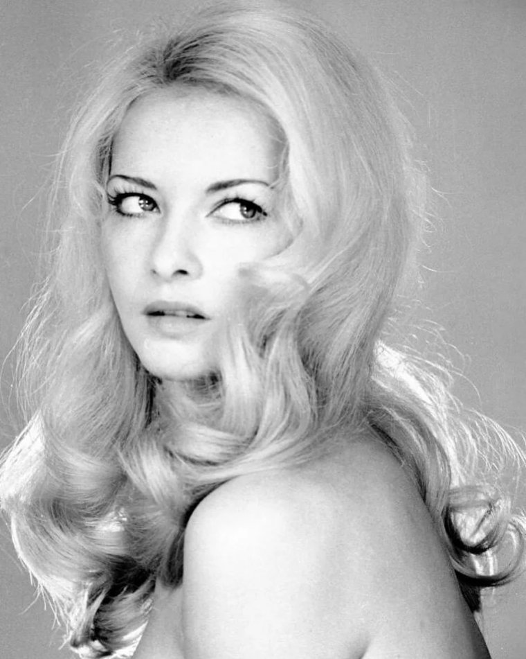 Барбера Бриска