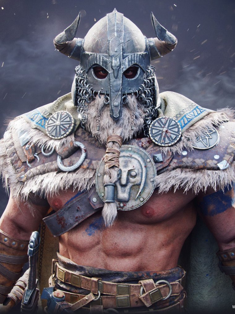 Берсерк Викинг