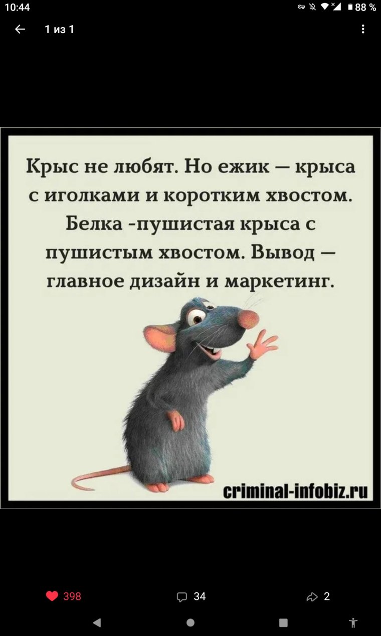 Фразы про крысятничество