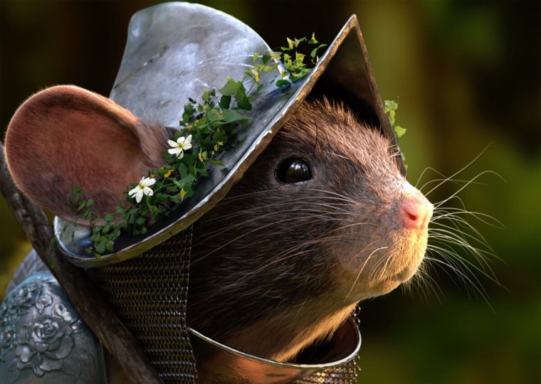 Мышка в каске