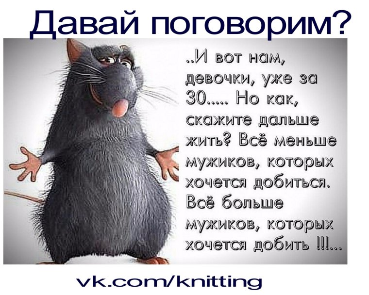 Статусы прикольные ржачные