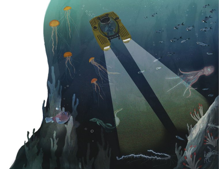 Тоби халики