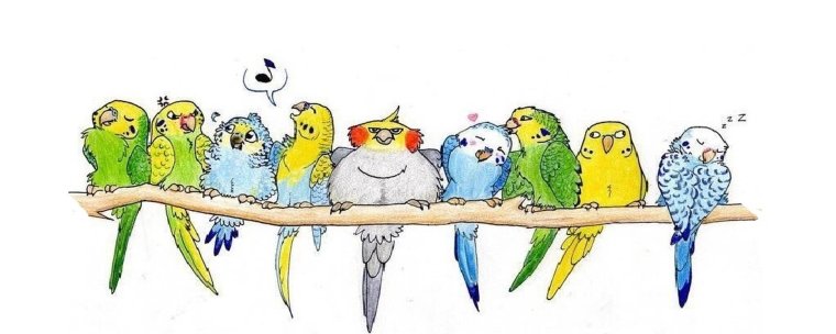 Попугай рисунок