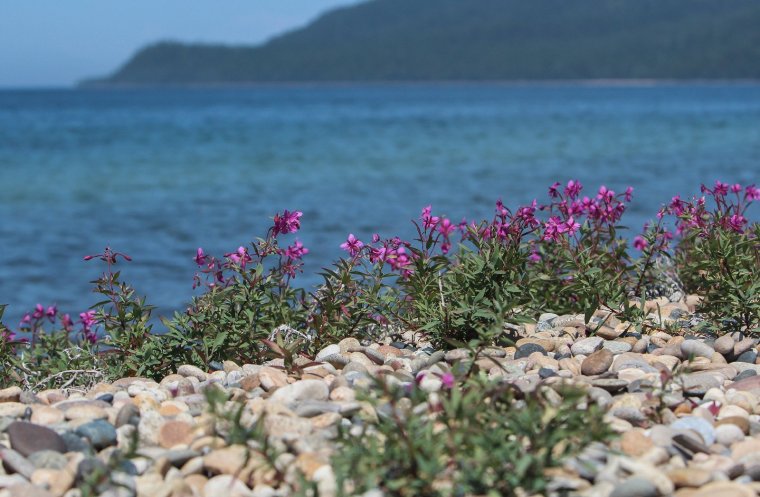 Заповедное ожерелье Байкала