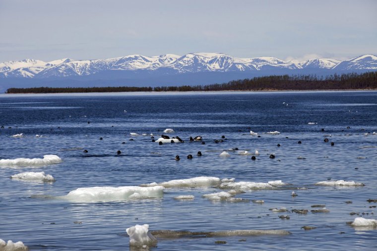 Озеро Нерпичье Усть-Камчатск