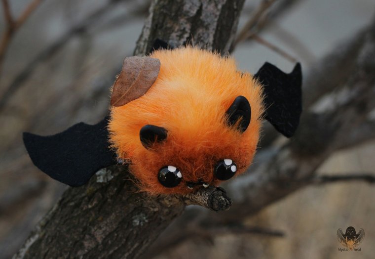 Няшная летучая мышь