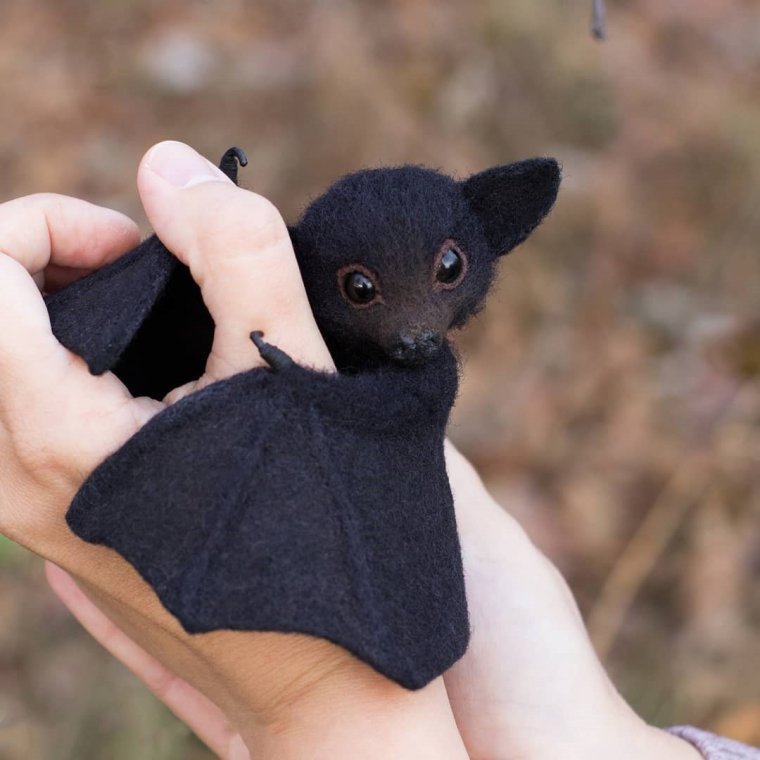 Летучая лисица альбинос