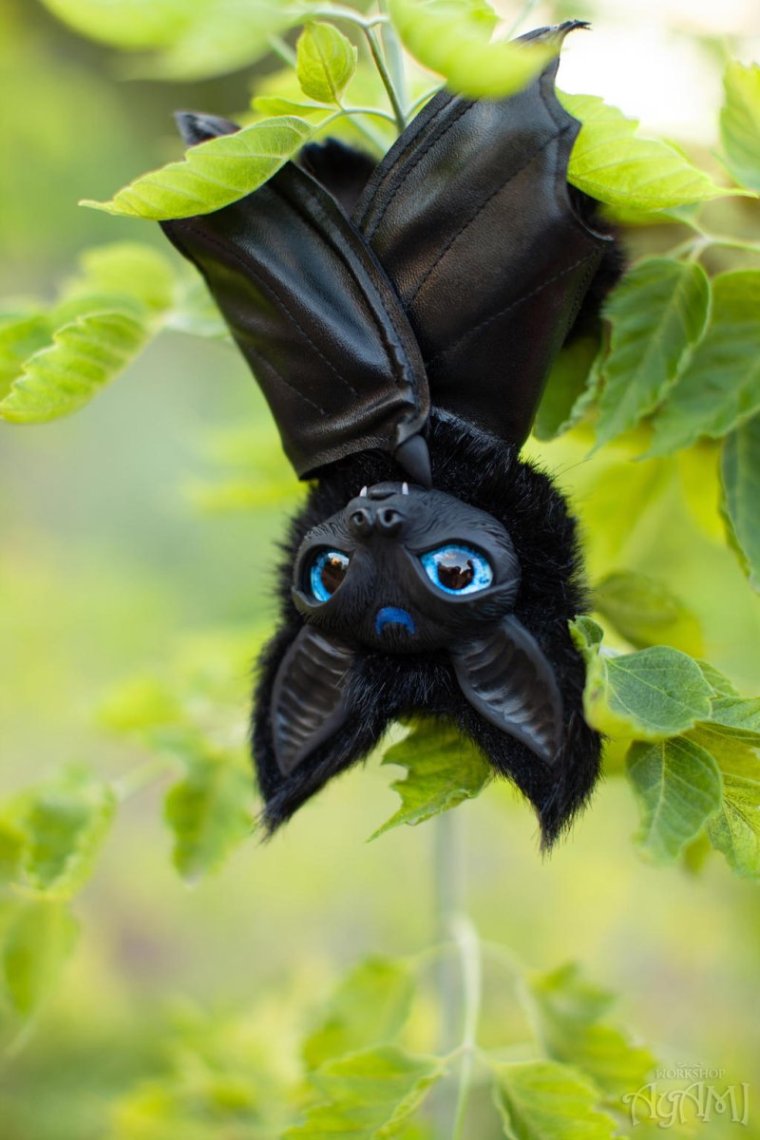 Зеленая летучая мышь